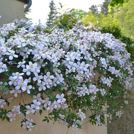 Le Clos Fleuri 3* Giverny